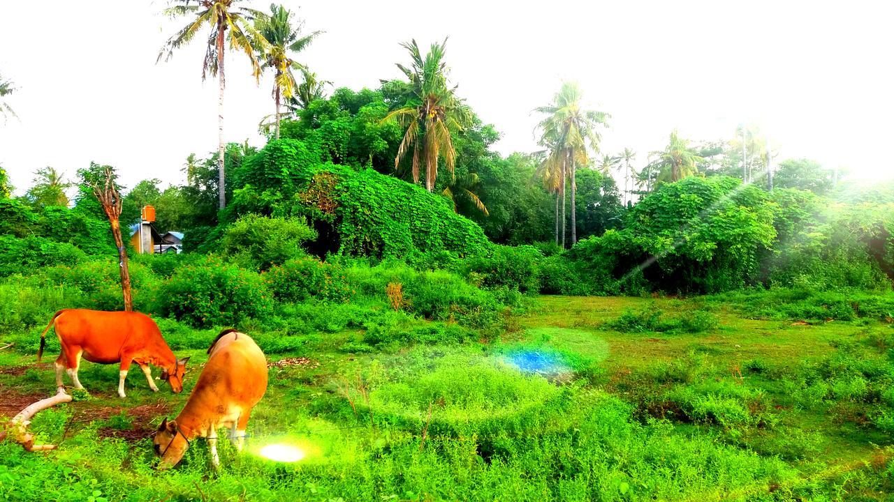 Ofal Lumbung Gili Air Dış mekan fotoğraf